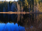 Trout Lake